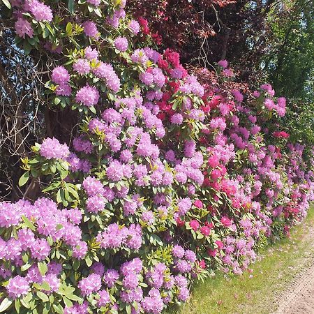 Ferienwohnung Gartenblick Вестерштеде Экстерьер фото