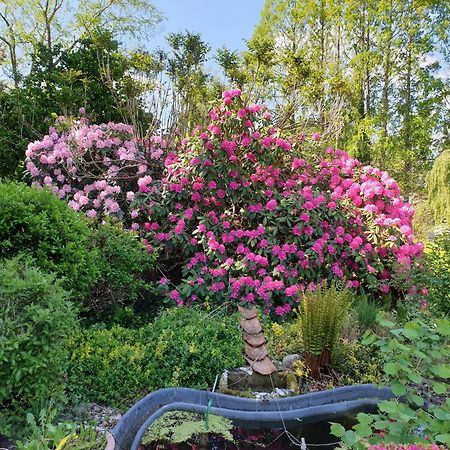 Ferienwohnung Gartenblick Вестерштеде Экстерьер фото