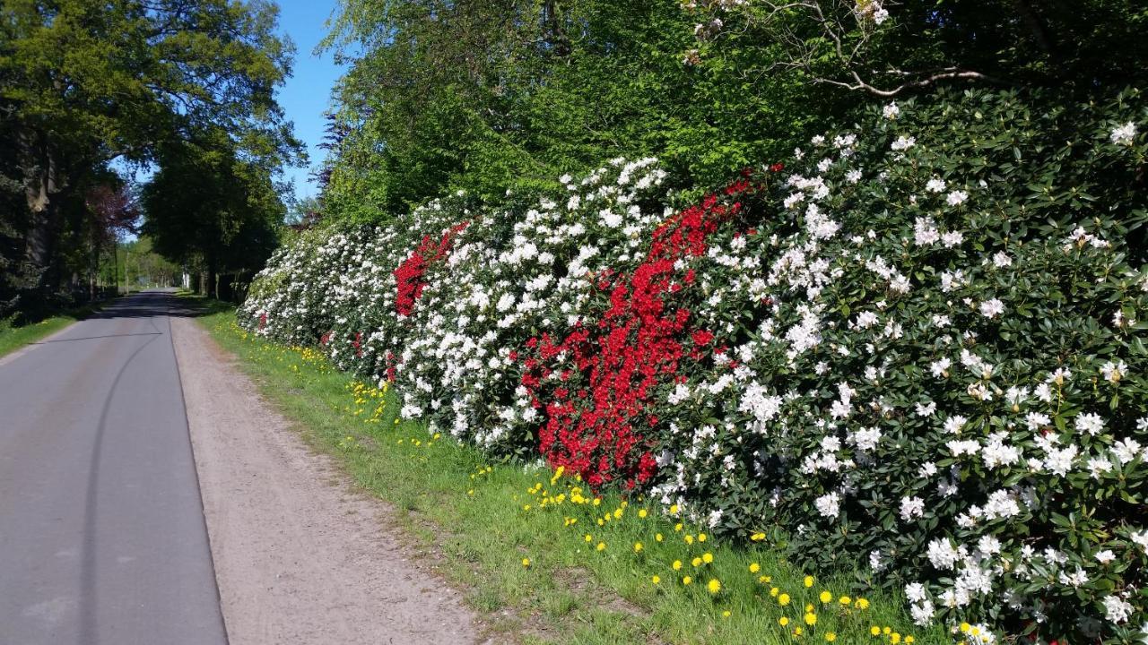 Ferienwohnung Gartenblick Вестерштеде Экстерьер фото