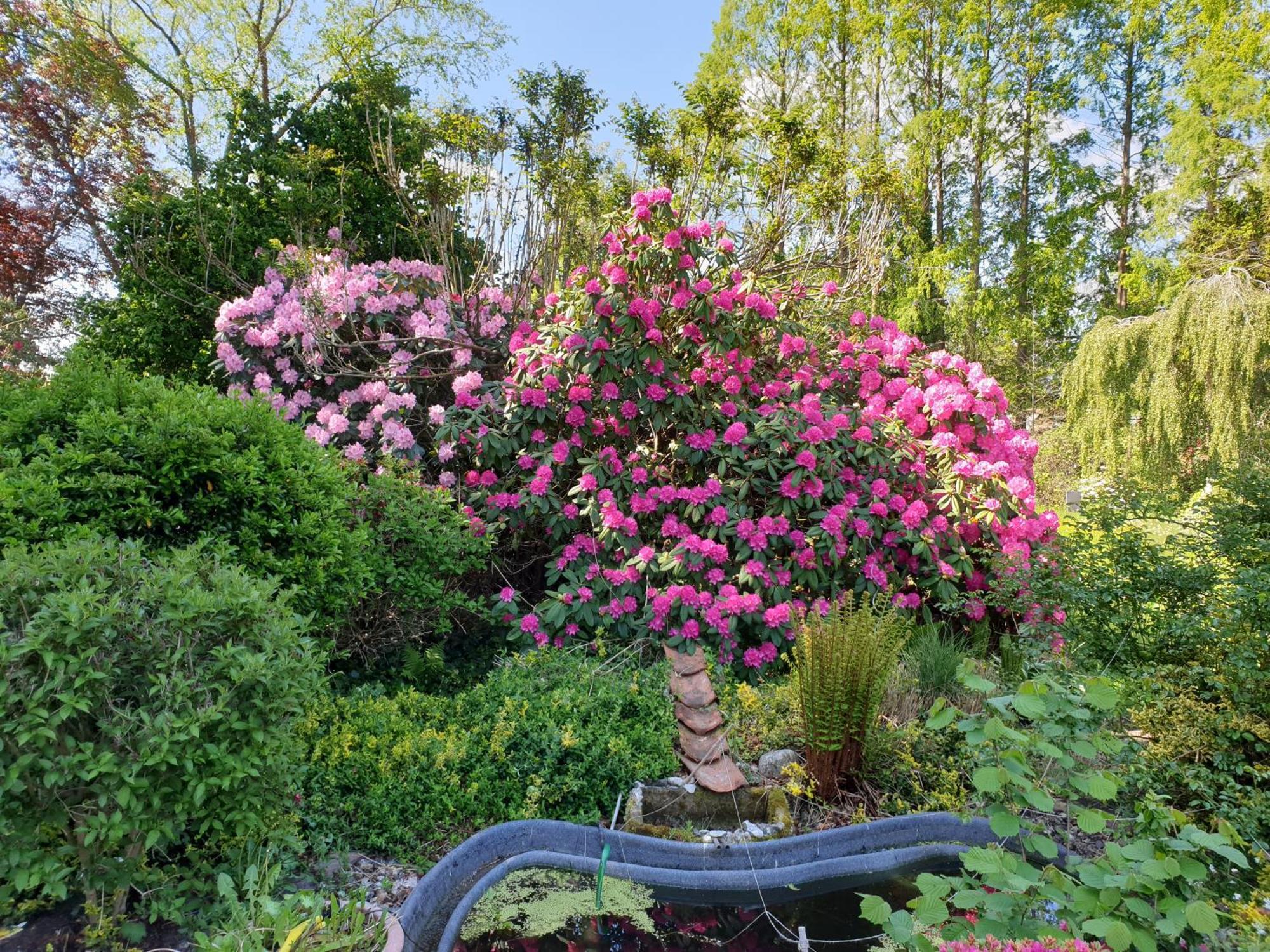Ferienwohnung Gartenblick Вестерштеде Экстерьер фото