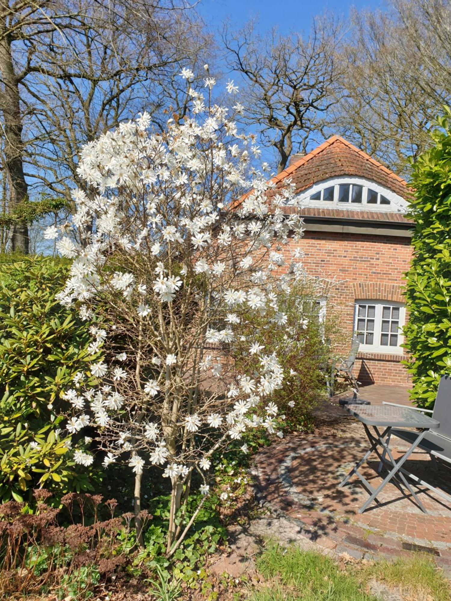 Ferienwohnung Gartenblick Вестерштеде Экстерьер фото
