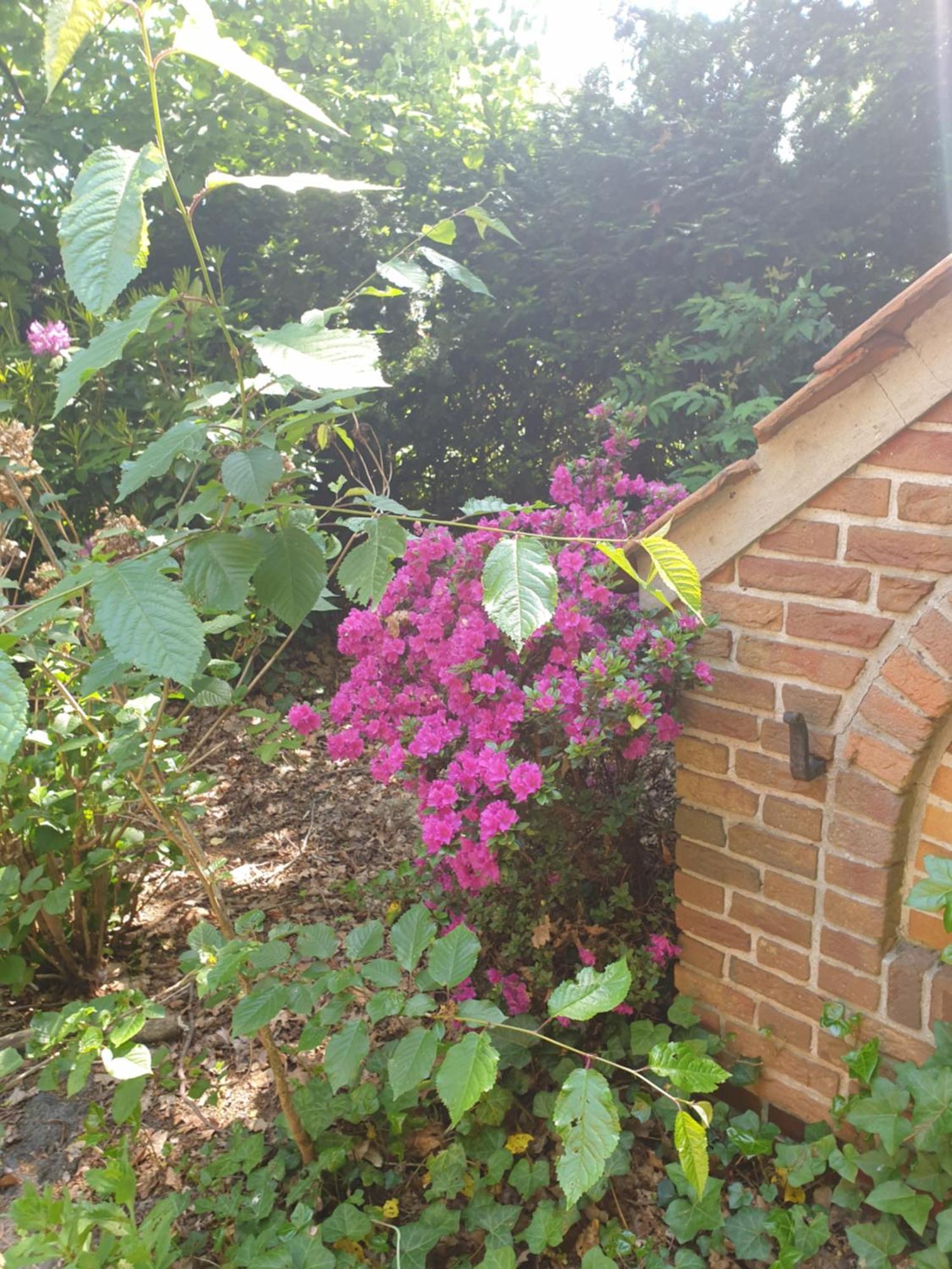 Ferienwohnung Gartenblick Вестерштеде Экстерьер фото